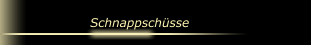 Schnappsch&uuml;sse