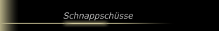 Schnappschüsse